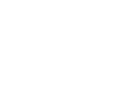Tees Valves Logo White_1