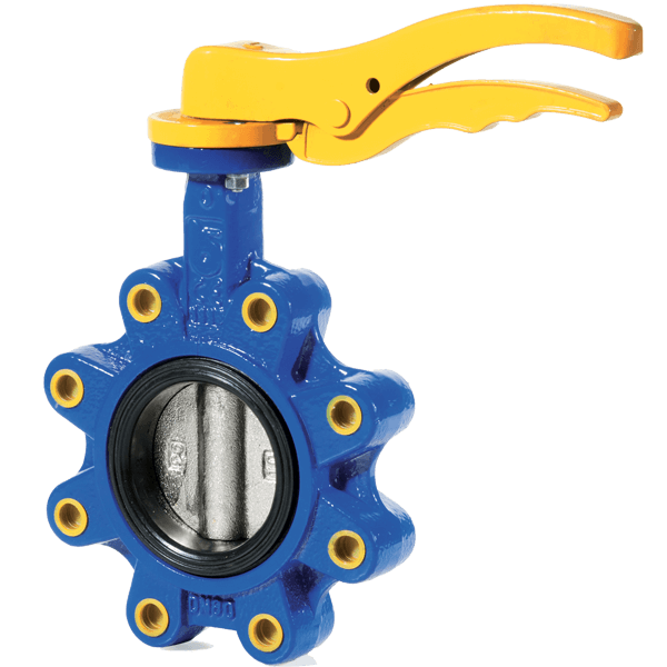 Bradnoni Butterfly Valve 2