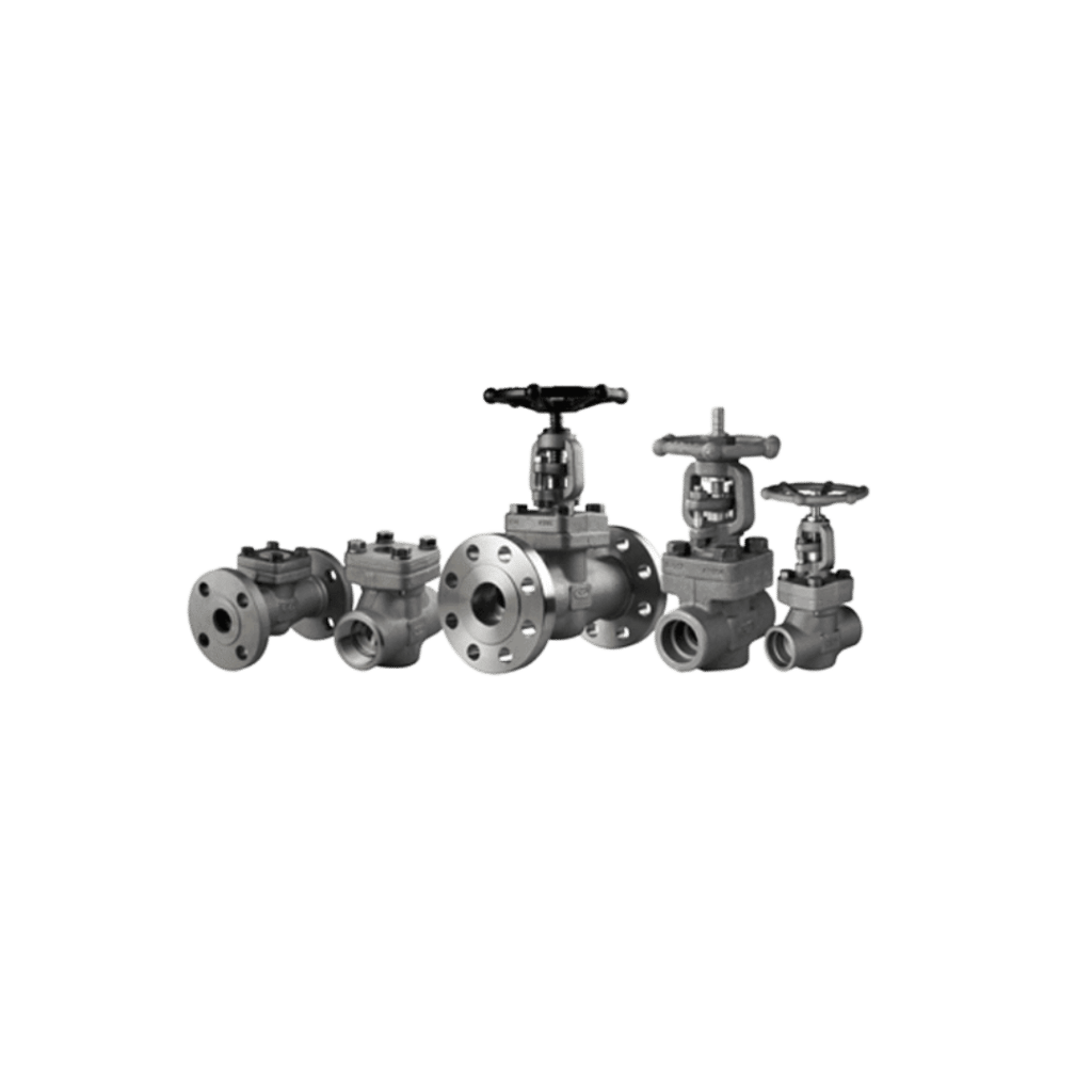Bonney Forge Forged Valves GGC