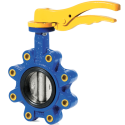 Bradnoni Butterfly Valve 2
